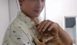 娱乐圈爆料李佳航,揭秘明星背后的故事