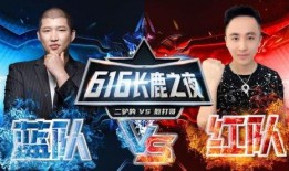 山东二哥爆料事件视频,揭秘背后惊人真相